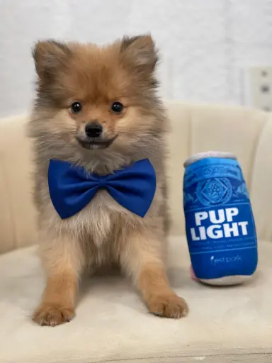 [2628-03] 900219002636139