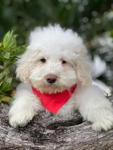 [2563-02] 990000014041205