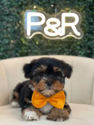 [2692-01] 900219002635963