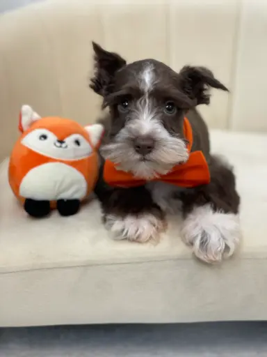 [25124-02] 900255002097998