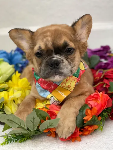 [25185-02] 991003000982609