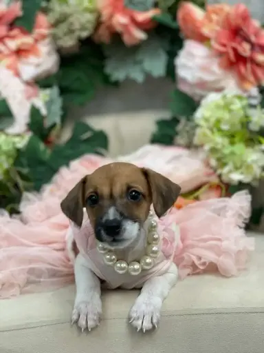 [25167-01] 900255002097814