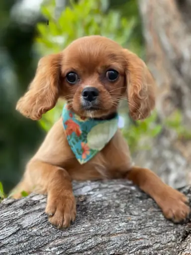 [25282-01] 900215006171552