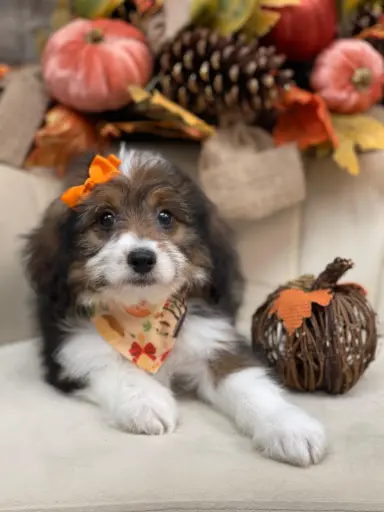 [25316-06] 900215006171419