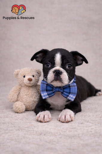 [25174-01] 900255002097823