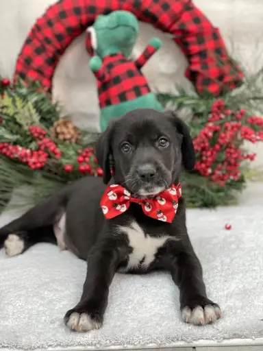 [25324-01] 202105000040682