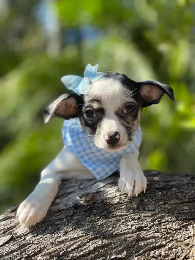 [2534-04] 900263004990370