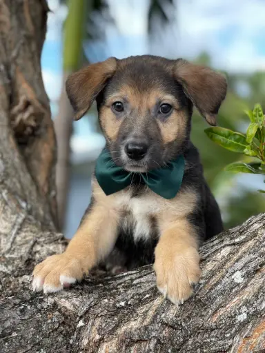 [25331-05] 202105000040625