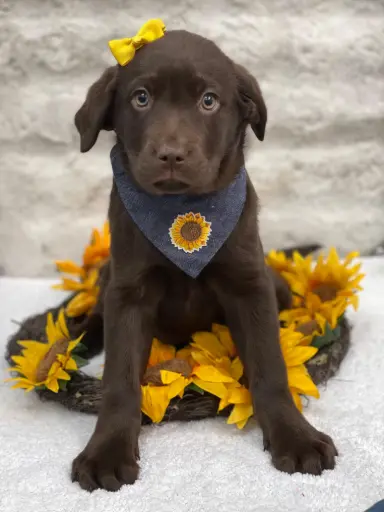 [25582-06] 900219002635913