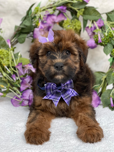 [263-03] 900219002619880