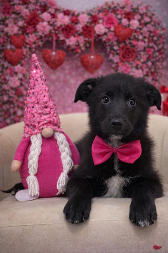 [2613-02] 202105000040729