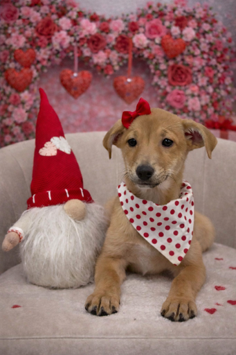 [2613-07] 202105000040734